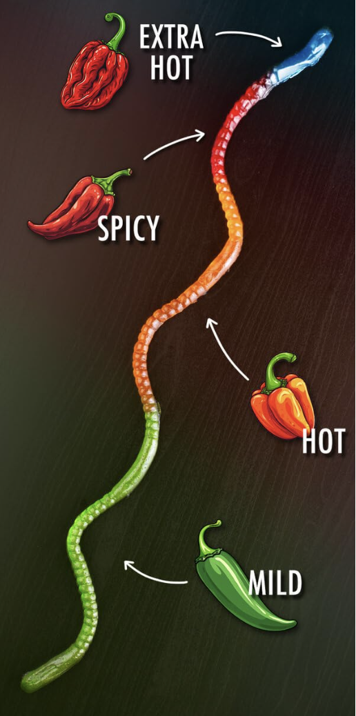 VAT19 - THE GUMMY FIREWORM - (pack of 12) -